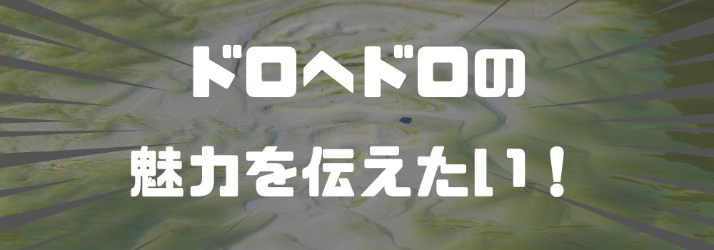 ドロヘドロの魅力を知り尽くす：原作ファンとアニメファンの視点から